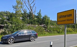 Überwuchert: Vom ehemaligen Nachtclub mit Bordell in Höxter ist nicht mehr viel übrig. - Svenja Ludwig