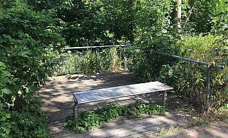 Eine der letzten Plattformen: Diese steht am Bürgerwald am Rand des Spielplatzes. Im Hintergrund fließt die Werre, gut versteckt hinter Sträuchern. - Dirk Windmöller