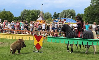 Besuchermagnet: Beim Ritterturnier schaut sich Bösewicht "Targo" auf seinem Pferd die Wildschweinattrappe genau an, bevor er sie beim folgenden Ritt aufspießt. - Simon Steinberg