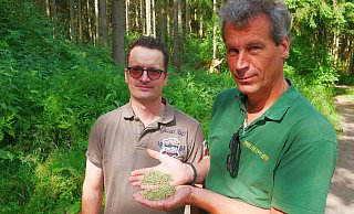 Kein gutes Zeichen: Michael Wessel (v. r.) hält Nadeln, die von toten Fichten auf den Boden von Waldbesitzer Hans-Rudolf Ising gefallen sind. - Kristoffer Fillies