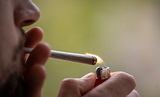 Das Kabinett bringt den Cannabis-Gesetzentwurf voraussichtlich heute auf den Weg. An dem Vorhaben scheiden sich allerdings die Geister. - Hannes P. Albert/dpa