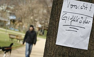 Am Martinsweg vermutet eine Anwohnerin, dass Giftköder ausgelegt wurden. - Archivfoto: NW