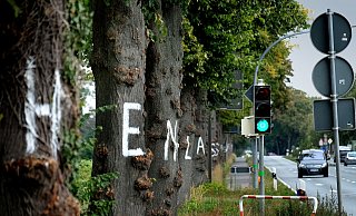 In großen weißen Buchstaben steht das Wort „Stehenlassen" auf den Linden. Aber wer war das? - Andreas Frücht