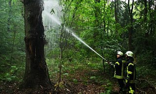 Mit einer C-Leitung und Wasser aus dem Fahrzeugtank löschte die Löschgruppe Schwarzenmoor den Baum. - Feuerwehr Herford