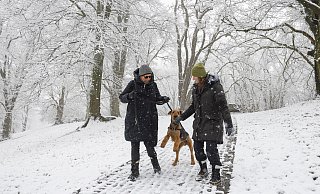 Malgorzata Beutler und Heike Kleinhans sind mit Hund Jo am Johannisberg im Schnee unterwegs. - Jörg Dieckmann Malgorzata Beutler und Heike Kleinhans sind mit Hund Jo am Johannisberg im Schnee unterwegs. - Jörg Dieckmann
