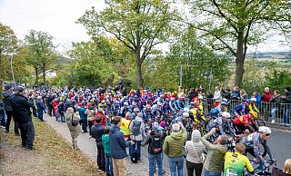 Das Hauptfeld rollt durchs Münsterland. - David Inderlied/dpa