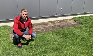 Und wieder fehlt ein Stück des frisch ausgelegten Rollrasens. Eduard Weber kann darüber nur den Kopf schütteln. - Corina Lass