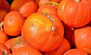 Herbst ist Kürbiszeit: Auch für unsere Redakteure. - Symbolfoto: Pixabay/Ralphs_Fotos