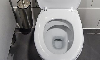 Toilette: Eine Festivalbesucherin versuchte nach einem Stemweder Festival, einen Drogentest mit Spülwasser zu manipulieren. - (Symbolbild): Pixabay