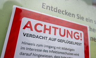 Warnschild in Essen: Verdacht auf Geflügelpest veranlasst Vorsichtsmaßnahmen für die Bevölkerung. - Christophe Gateau/dpa