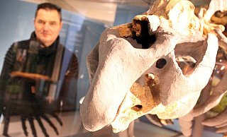 Museumsleiter Michael Strauß hinter der Vitrine mit der berühmten Seekuh. - Meiko Haselhorst