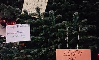 Impfskeptiker haben ihre Botschaften gestern Morgen auf Zettel geschrieben und sie an die Tanne auf dem Alten Markt gehängt. - NW