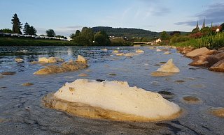 Bräunlich-gelber Schaum sammelt sich derzeit auf der Weser in Ufernähe. - Thomas Kube
