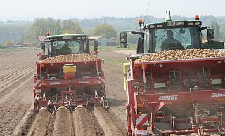 Die zwei 310 PS-Traktoren ziehen die Legegeräte über die Flächen an der Stadtholzstraße. - Jobst Lüdeking