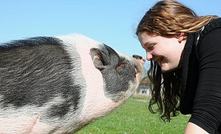 Dass das Corona-Virus vom heimischen Tier auf den Menschen übertragen werden kann, ist nach heutigem Stand der Wissenschaft ausgeschlossen. - Anke Schneider