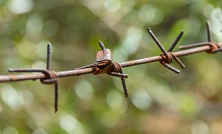 Die Jusos im Kreis fordern den CDU-Bundestagsabegordneten des Kreises Höxter auf, öffentlich dafür zu werben, mehr Geflüchtete aufzunehmen (Symbolbild). - Pixabay
