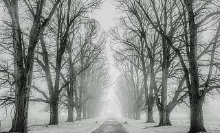 Auf den Straßen in NRW könnte es dank Schneefalls glatt werden. - Symbolbild: Pixabay