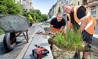 Felix Meyer zu Vilsendorf (links) und Pascal Schröder (v. chamier+mauth Garten- und Landschaftsbau) bepflanzen die neuen Becken der Lutter in der Ravensberger Straße. - Barbara Franke