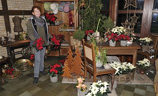 Claudia Dubbel-Neugebauer zeigt die Vielfalt der Weihnachtssterne. - Sandra C. Siegemund