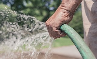 Einer der Männer erzählte, dass sie in der Nachbarschaft mit Gartenarbeiten beschäftigt seien und der Dame jetzt auch ihre Dienste anbieten wollten. - Pixabay