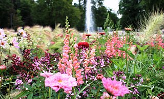 Blumenpracht und Waldidylle: In Bad Lippspringe ist die Gartenschau ein Anziehungspunkt für Besucher. - Gartenschau Bad Lippspringe