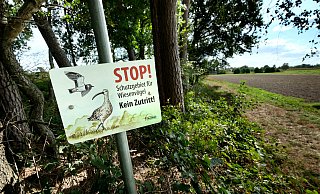 Teile der Flächen am Lichtebach stehen schon seit 1989 unter Naturschutz; 2001 wurde es erstmals erweitert. - Andreas Frücht