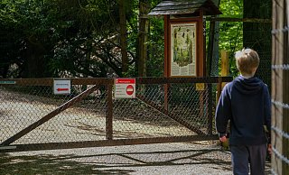 Bielefelds beliebtester Ort, der Tierpark Olderdissen. - Foto: Andreas Zobe/NW