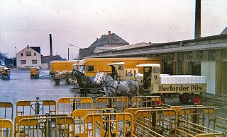 Zwei PS: Vor die Brauerei-Kutschen waren zwei kräftige Pferde gespannt. - Foto: Sammlung Polster