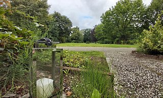 Das Areal im Umfeld des Feldmarkfriedhofs sollte bebaut werden. Nachdem eine Ratsmehrheit dafür stimmte, nahm die Kommunalpolitik wenige Jahre später wieder Abstand von den Projekt. - Florian Weyand