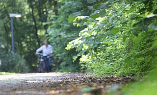 Wildwuchs: Der Fußweg zwischen der Maternusklinik und der ehemaligen Weserklinik am Brinkkamp ist stellenweise halb zugewuchert. - Jörg Stuke