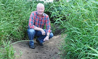 Halles Umweltbeauftragter Stephan Borghoff im ausgetrochneten Bachbett des Ruthebach. - Rolf Uhlemeier