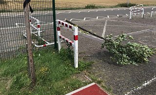 Unbekannte haben an diesem jungen Baum vor der Sporthalle Mennighüffen herumgesägt. - Detlev Harre