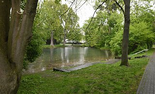 Teich im Riemeke-Park: Die Wasserqualität hängt von zahlreichen Faktoren ab. - Marc Köppelmann