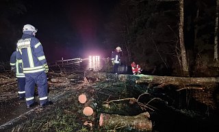 Umgestürzte Bäumen sorgten Deutschlandweit für zahlreiche Einsätze. - picture alliance/dpa
