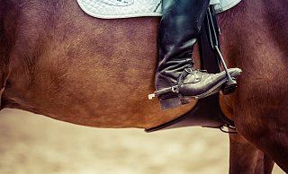 Das Pferd scheute und warf die Reiterin ab. - Pixabay (Symbolbild)