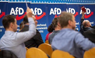 Teilnehmer des Landesparteitags AfD Brandenburg. Die AfD in Brandenburg wird vom Verfassungsschutz als rechtsextremistischer Verdachtsfall eingestuft (Archivbild). - Monika Skolimowska/dpa