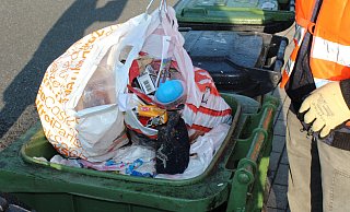 In die Biotonne gehören nur Grünabfälle. Auch hier will die Stadt Rietberg künftig aktiv werden, wenn diese falsch befüllt werden. - Stadt Rietberg