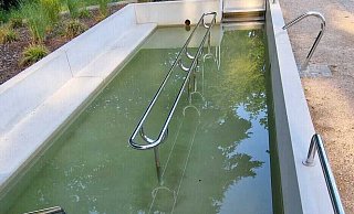 Grünes Wasser: Kneipp-Fans zeigen sich eher zurückhaltend bei der Nutzung des Tretbeckens auf dem Eggelandareal. - Nadine Nolte