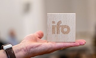 Das Münchner Ifo-Institut berichtet von steigendem Materialmangel in der Industrie. (Archivbild) - Leonie Asendorpf/dpa