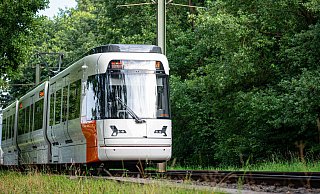 Eine Stadtbahn der Linie 4 ist an der Universität in Bielefeld mit einem Auto zusammengestoßen. - Symbolbild: Felix Brenneke