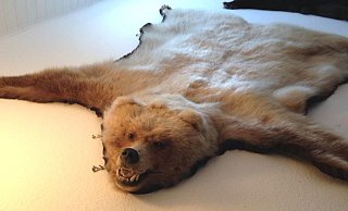 So sieht das gestohlene Bärenfell aus. - Polizei Minden-Lübbecke