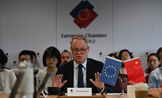 Die EU-Kammer gab auch weitere Informationen zur Lage um Exportkontrollen auf Seltene Erden. - Johannes Neudecker/dpa/dpa-mag