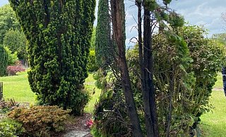 Auf dem Friedhof in Kirchlengern brannten Sträucher auf zwei Grabstätten. - Löschgruppe Kirchlengern