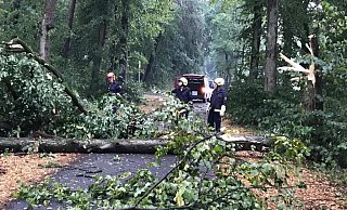 Allein die Hövelhofer Feuerwehr musste zu 18 Einsätzen wegen umgestürzter Bäume ausrücken. - Tim Kesselmeier / Feuerwehr Hövelhof