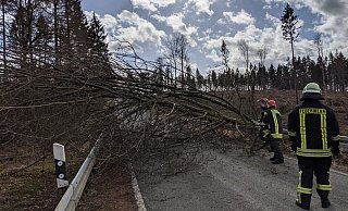 Das Tief "Klaus" bescherte dem Löschzug Willebadessen am Donnerstag gegen 14 Uhr einen Einsatz. Die L 763 Richtung Kleinenberg war versperrt. - Feuerwehr Willebadessen