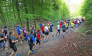 Der Hermannslauf 2019. In diesem Jahr fiel er aus. - Sarah Jonek/jonek-fotografie.de