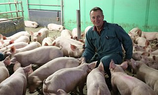 Heinrich Gabriel ist Kreislandwirt und Schweinezüchter. Er plädiert für eine „sach- und fachgerechte vernünftige Diskussion“. - Simone Flörke