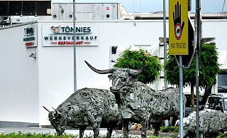 Der Tönnies-Konzern soll künftig die genauen Schlachtmengen mitteilen, geht es nach dem Willen der CDU. - Andreas Frücht