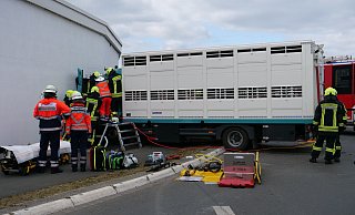 Nachdem der Viehtransporter quer über den Hügel im Kreisverkehr gefahren ist, prallt er frontal gegen ein Firmengebäude. - Ralph Meyer