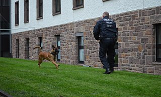 Erfolgreiche Suche: Iceman hat den Kugelschreiber von Herrchen im Gras gefunden und wird dafür gelobt. Er hat das während seiner Ausbildung trainiert, um im Dienst Gegenstände wie Tatbeute, Tatwerkzeuge oder tatsächlich verlorene Gegenstände zu finden. - Nicole Fischer